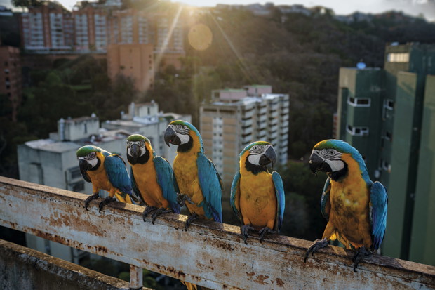 Caracas, Wenezuela