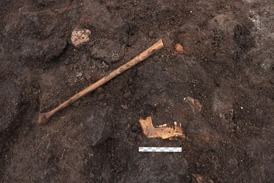 bagienna mumia