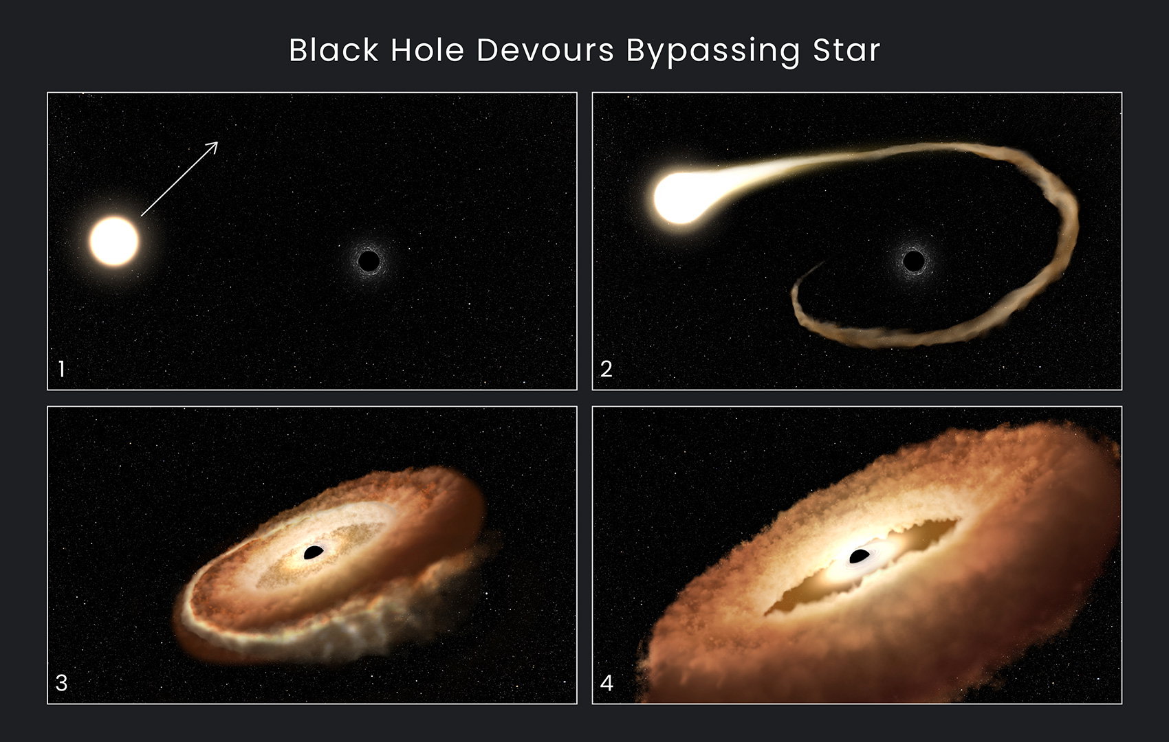 Zaobserwowano, jak czarna dziura rozrywa przelatującą obok gwiazdę i nadaje jej kształt pączka z dziurką (fot. NASA, ESA, Leah Hustak (STScI))