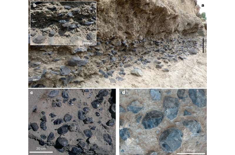Odnaleziono najstarszy „warsztat” do produkowania narzędzi z obsydianu. Nie stworzył go Homo sapiens (fot. Nature Ecology & Evolution (2023). DOI: 10.1038/s41559-022-01970-1)