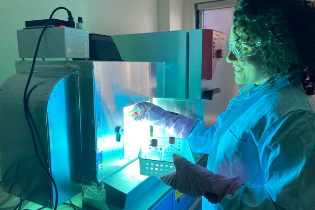 Bakterie naprawdę zjadają plastik. Czy to rozwiąże nasz problem z odpadami zanieczyszczającymi oceany? (fot. Maaike Goudriaan, NIOZ)