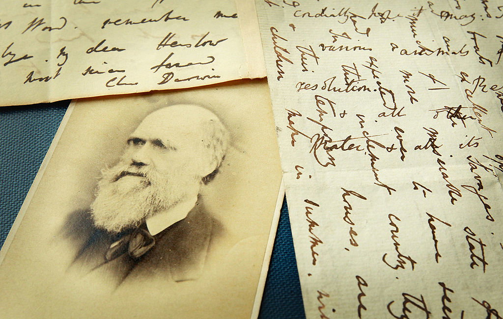 Teoria ewolucji od Darwina po współczesność. Jak ewoluowała jedna z najważniejszych koncepcji w nauce? (fot. Peter Macdiarmid/Getty Images)