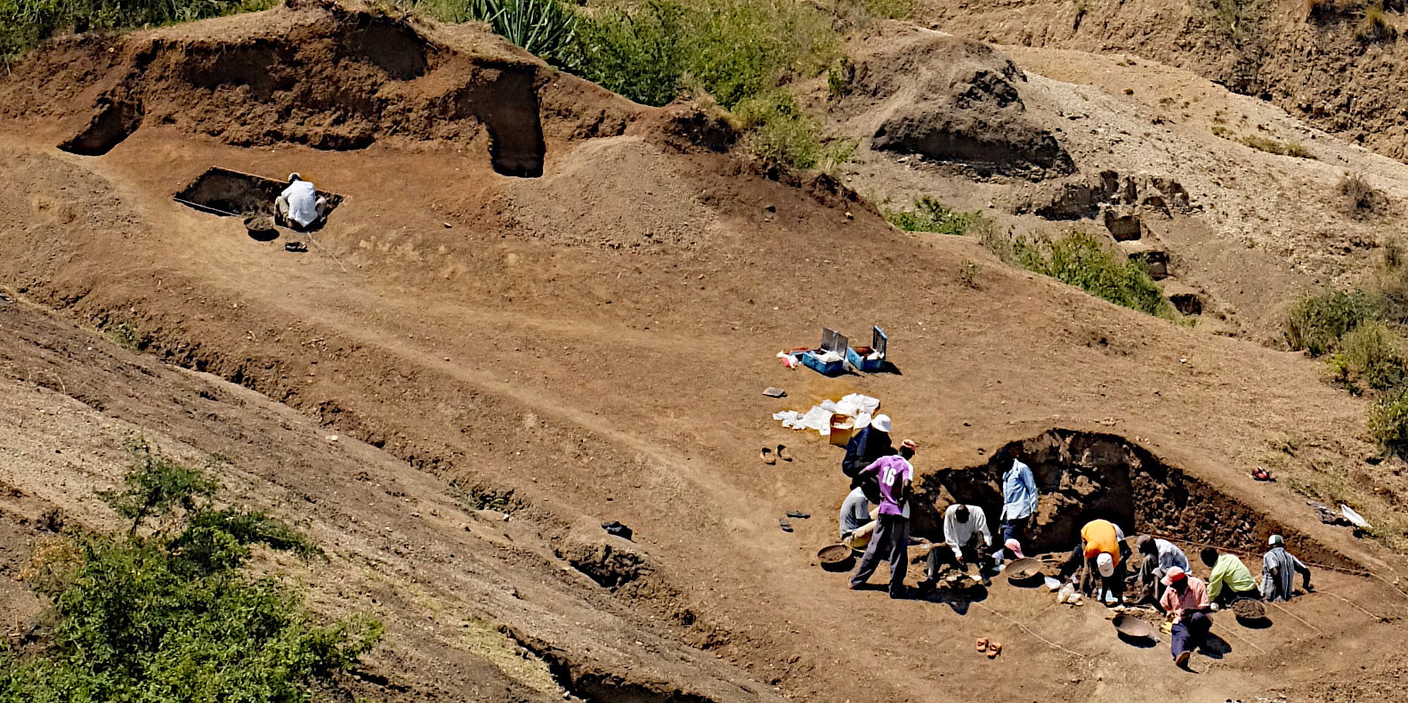 To nie Homo erectus zrobił pierwsze kamienne narzędzia. Wyprzedził go bliski krewny praludzi (fot. J.S. Oliver, Homa Peninsula Paleoanthropology Project)