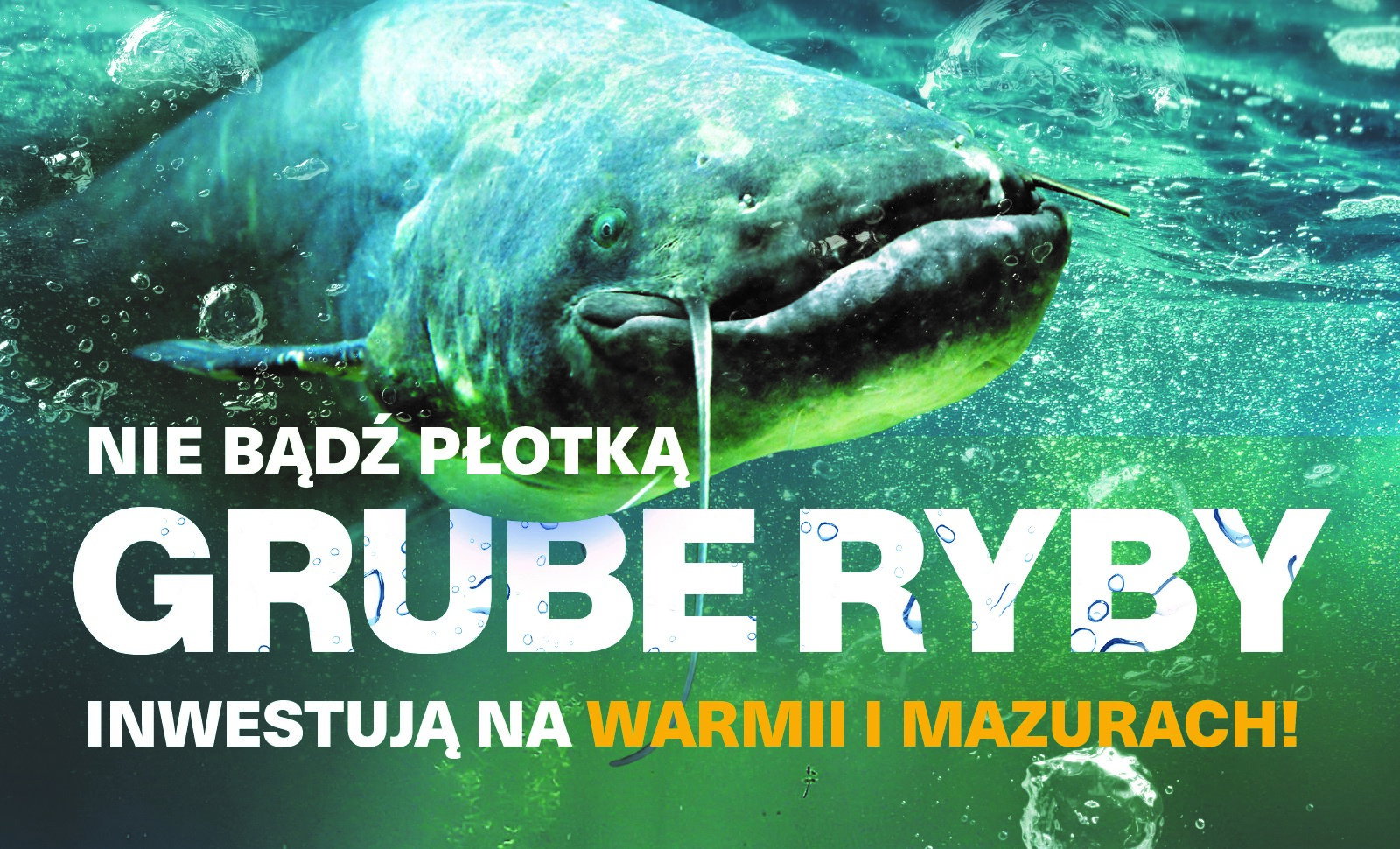 mazury