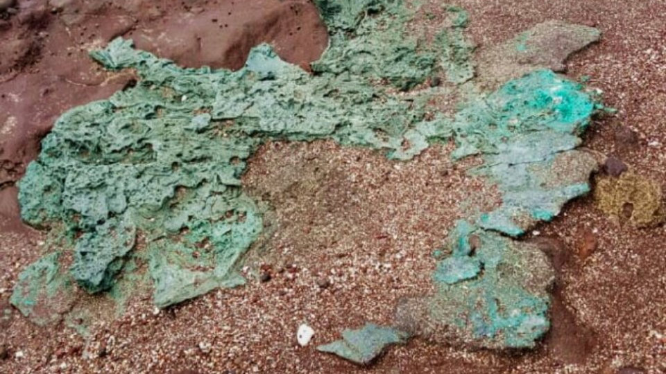 „Przerażające” odkrycie na odizolowanej wyspie. Badacze odkryli plastikowe skały