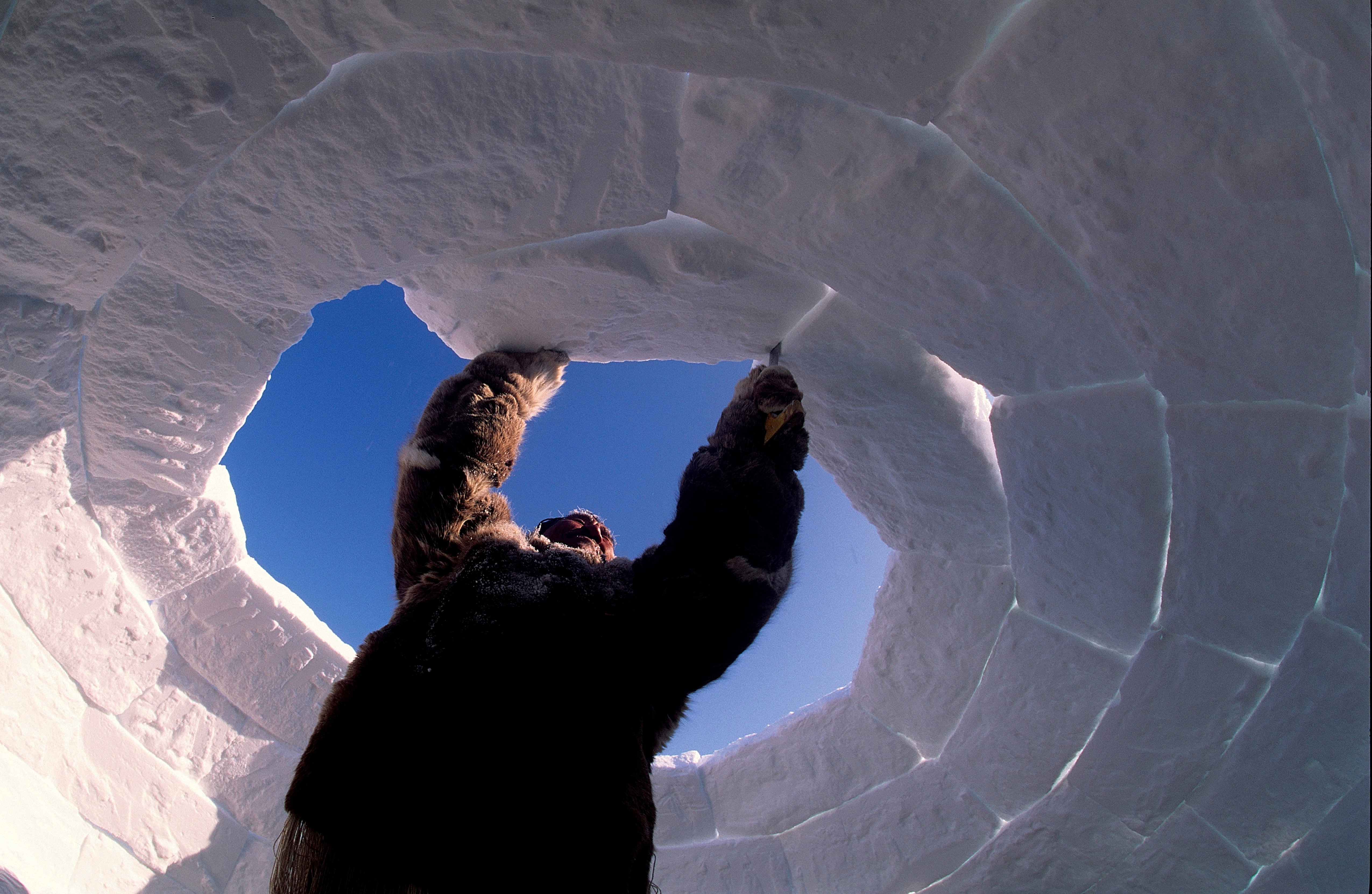 Co to jest igloo i do czego służy? (Photo by: White Fox/AGF/Universal Images Group via Getty Images)