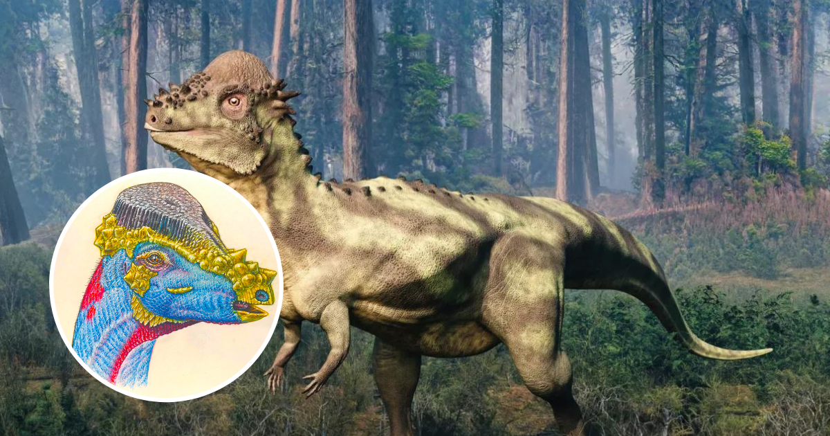 dinozaur ze szczotką