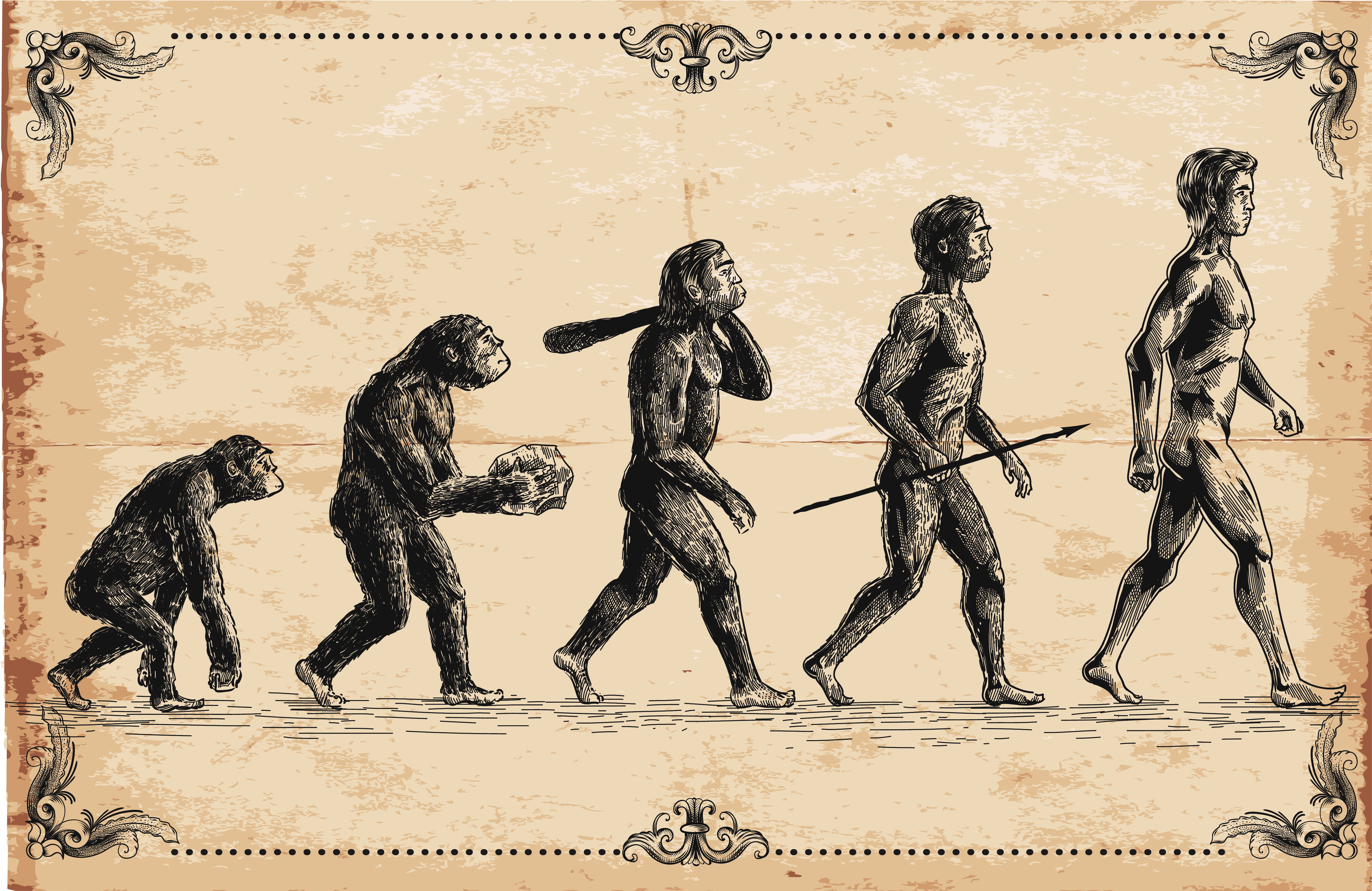 Nosy neandertalczyków
