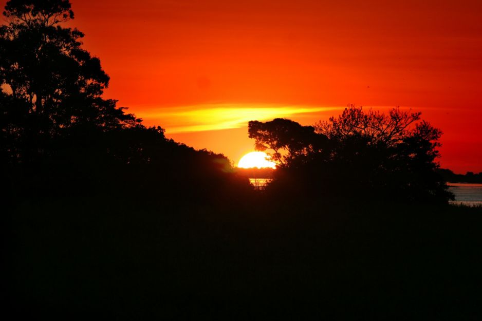 Amazonia