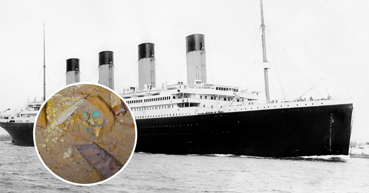 We wraku Titanica znaleziono złoty naszyjnik z zębem prehistorycznego rekina