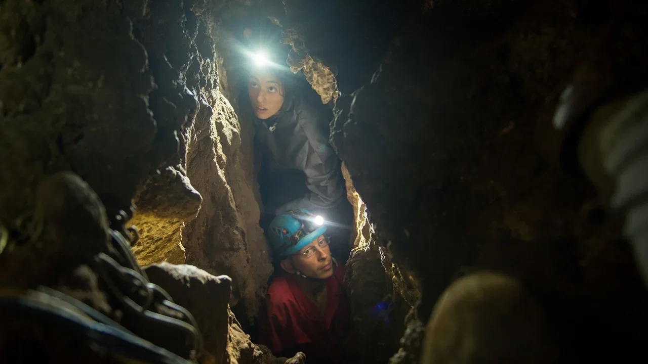 Homo naledi