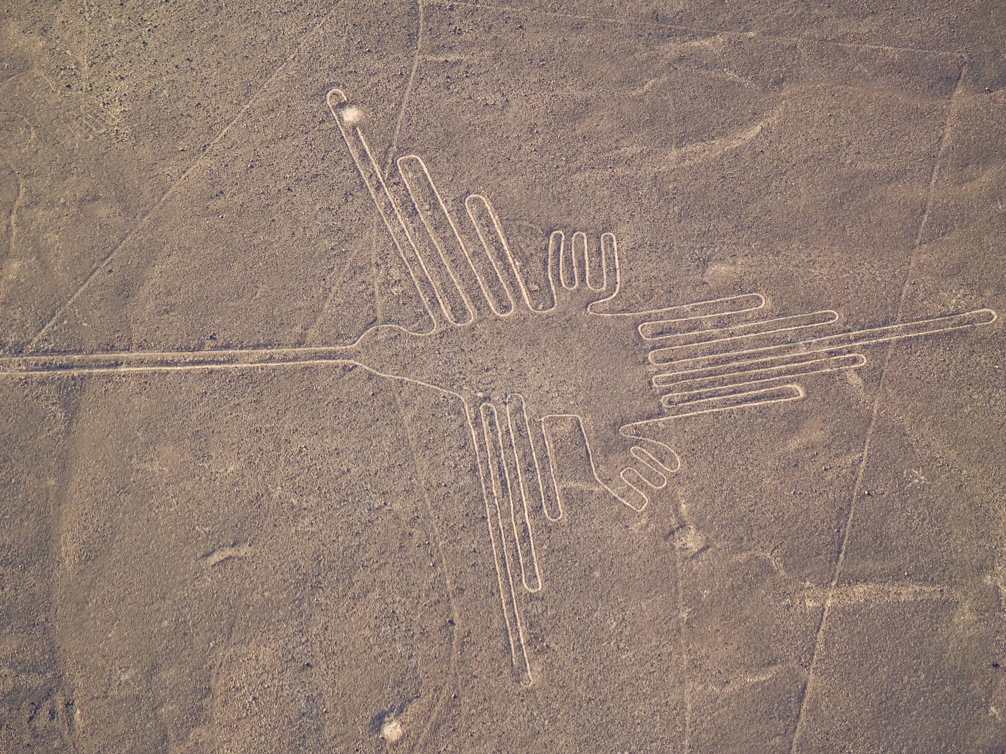 Rysunki z Nazca