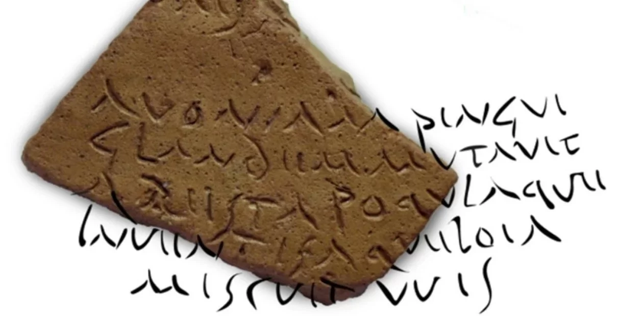 fragment amfory