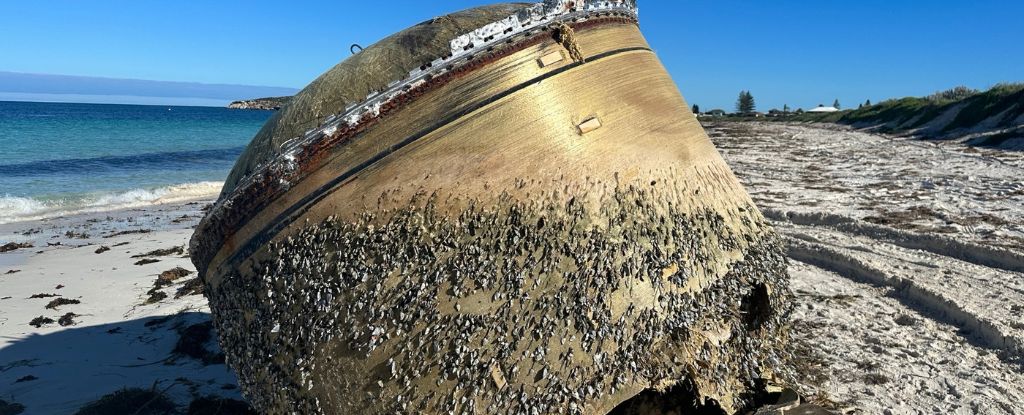 Na australijskiej plaży znaleziono tajemniczy obiekt. Bada go Australijska Agencja Kosmiczna