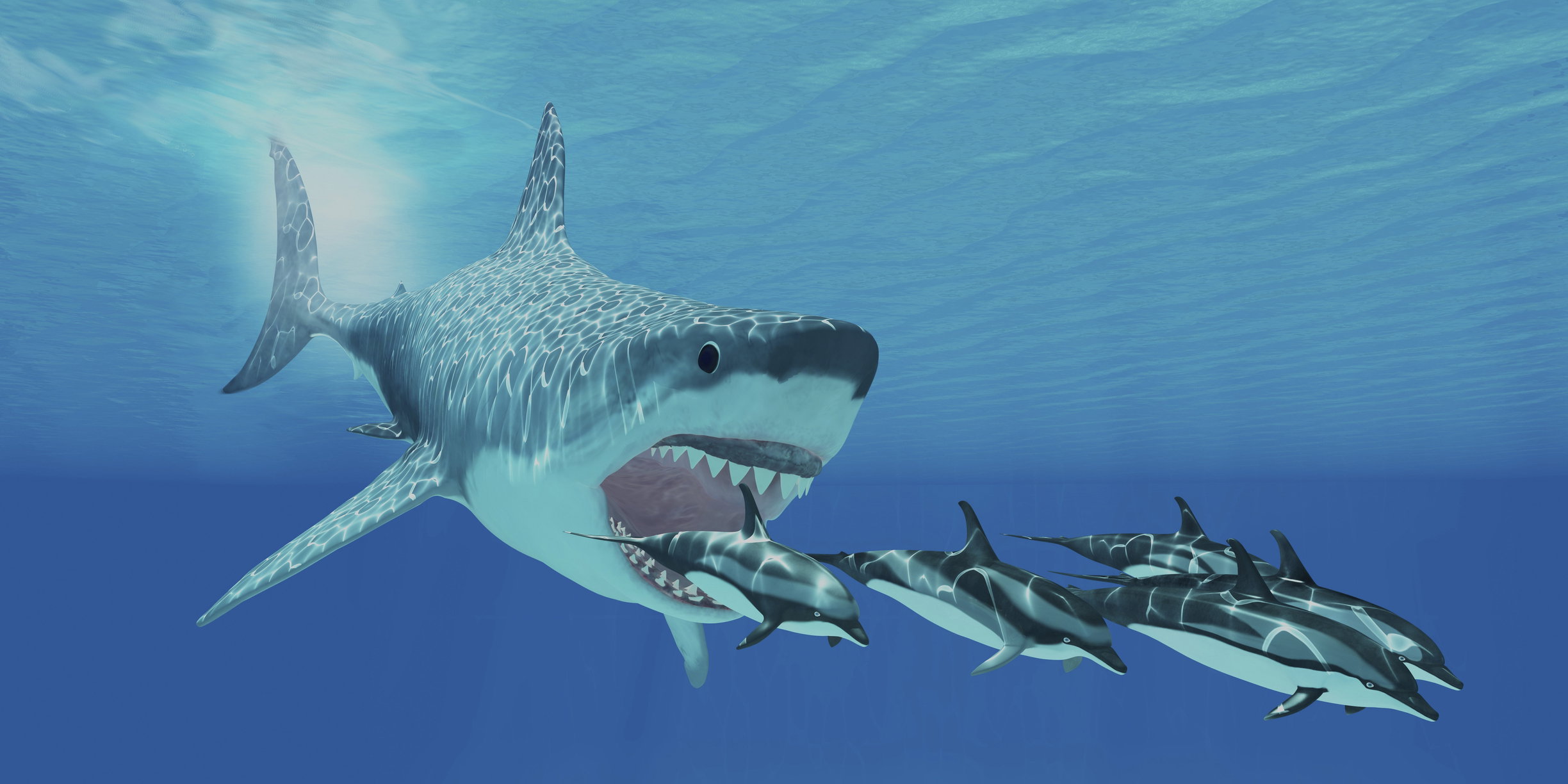 Megalodon – charakterystyka i ciekawostki o największych prehistorycznych rekinach (fot. Getty Images)