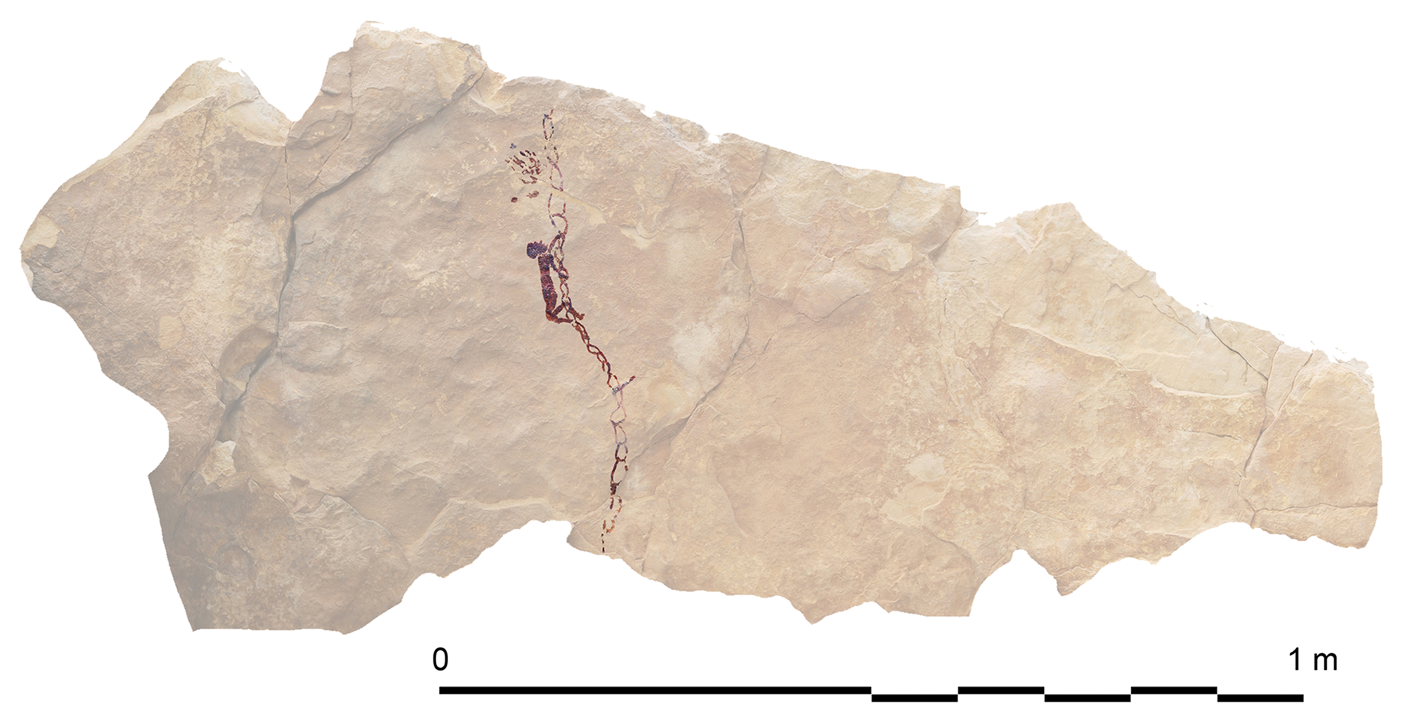 wspinaczka w prehistorii