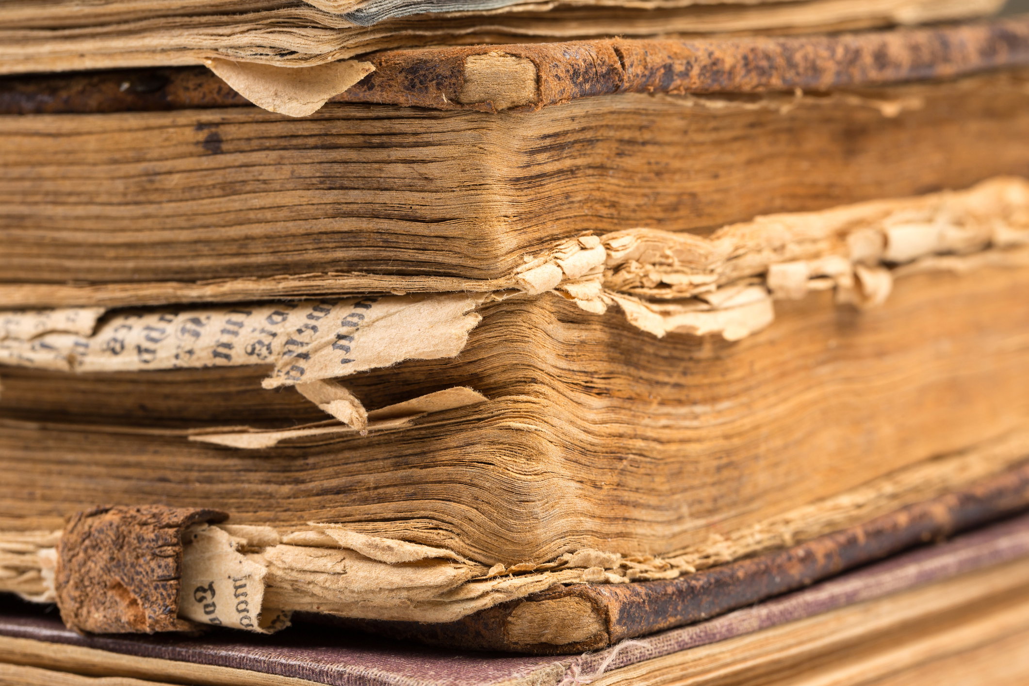 Historia papieru – kto go wynalazł i jak ewoluował przez lata? (fot. Getty Images)