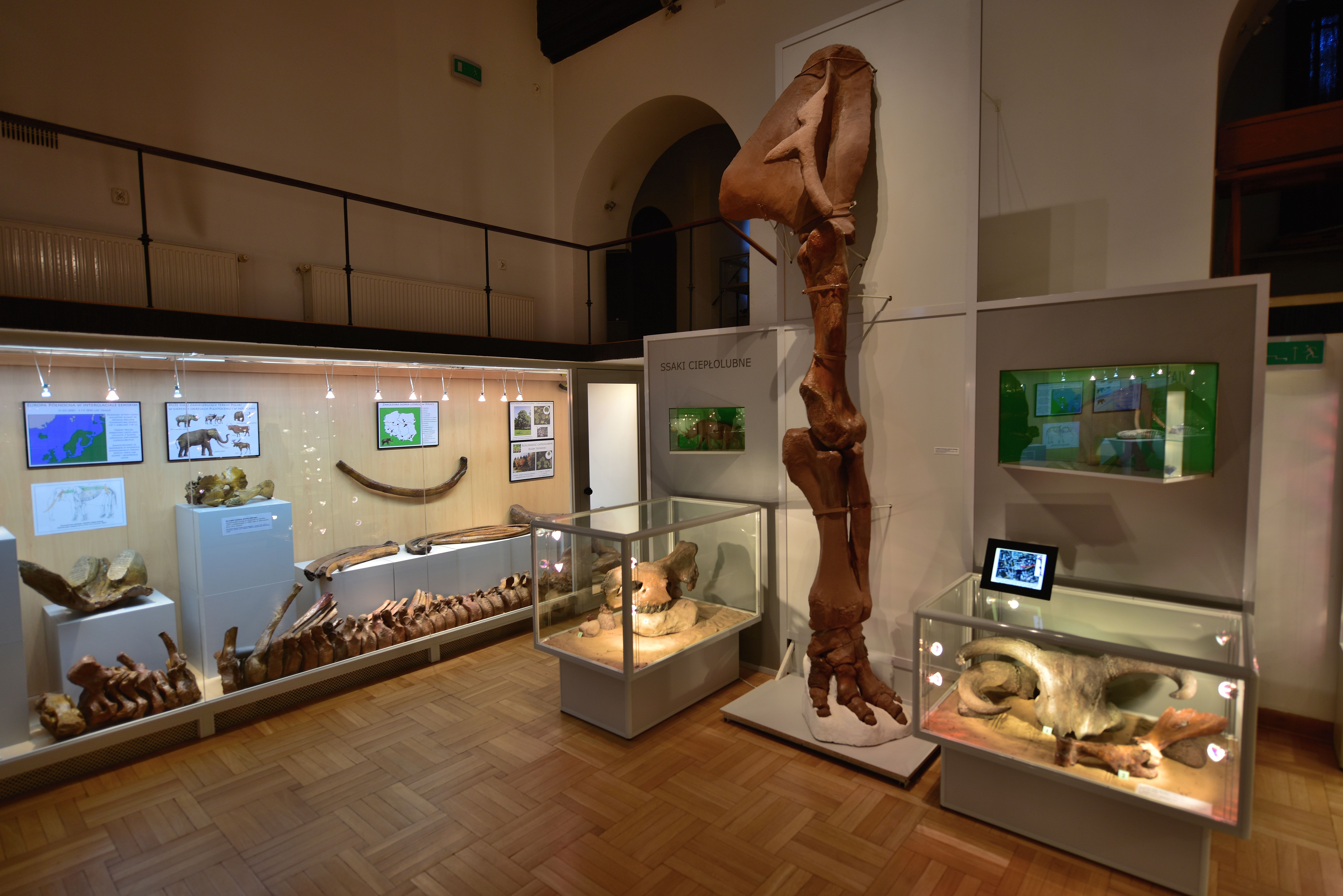 Muzeum Ziemi PAN