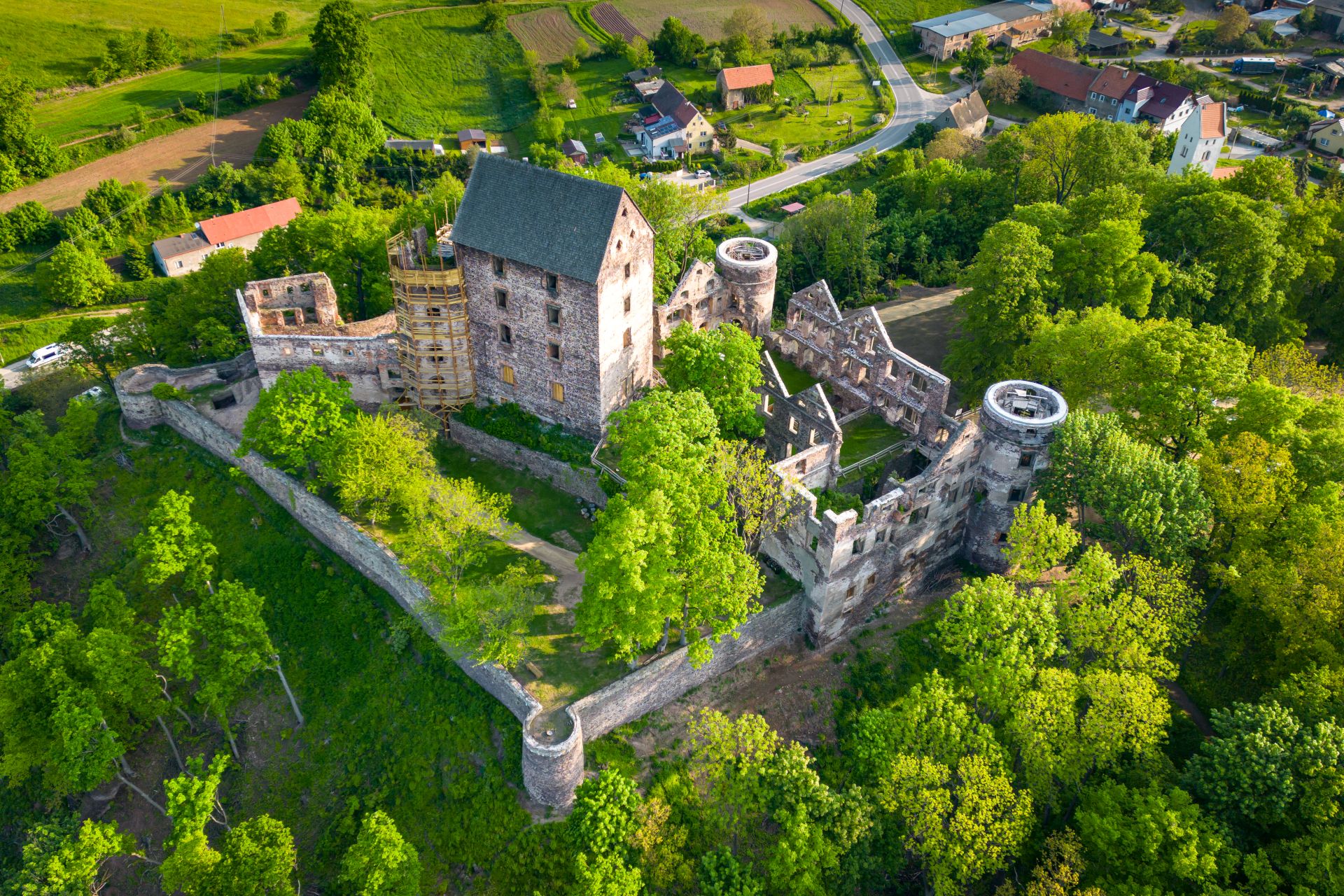 Zamek Świny