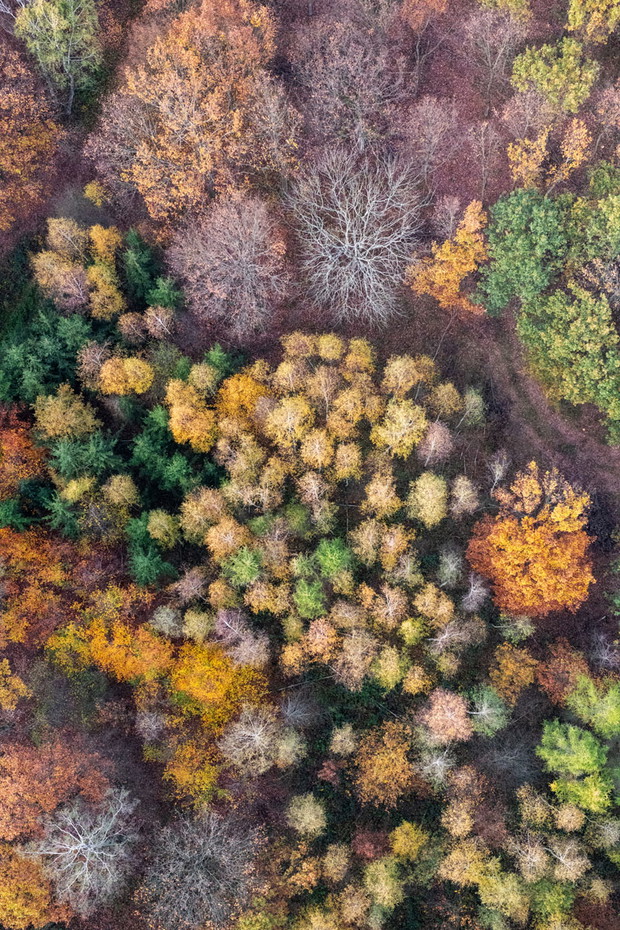 Aukcja Polskiej Misji Medycznej i „National Geographic Polska