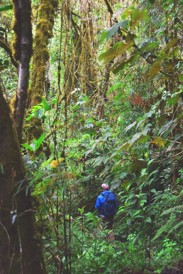 Fotorelacja z Inca’s Trail