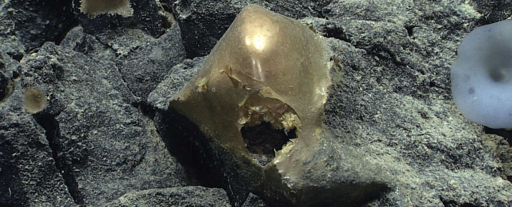 złota kula