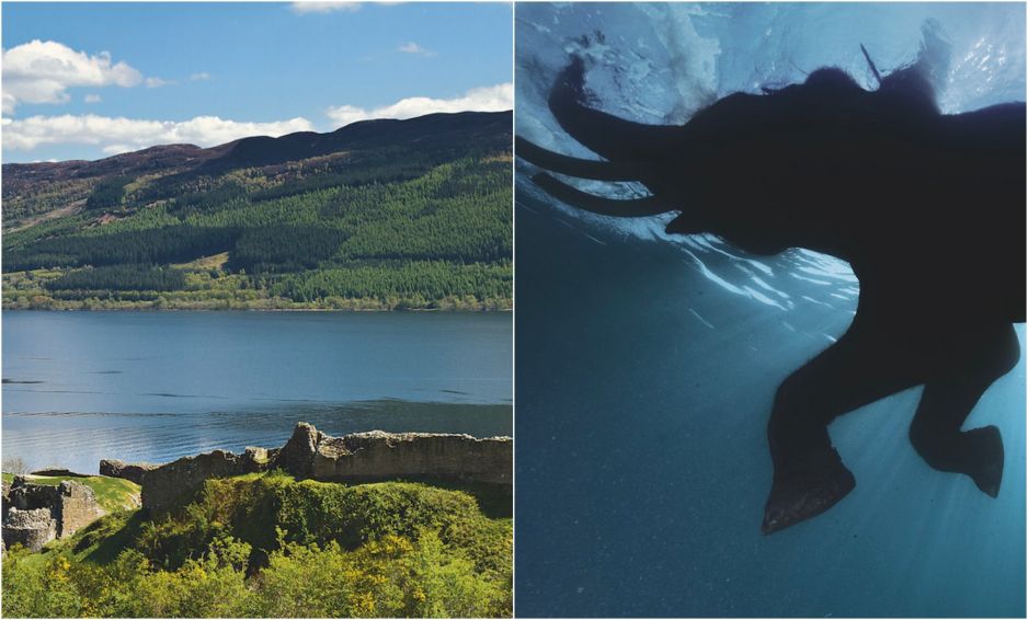 "Nessie" była słoniem?
