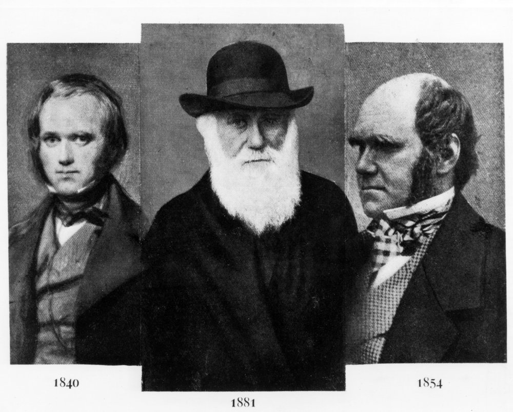 Charles Darwin (fot. Shutterstock)