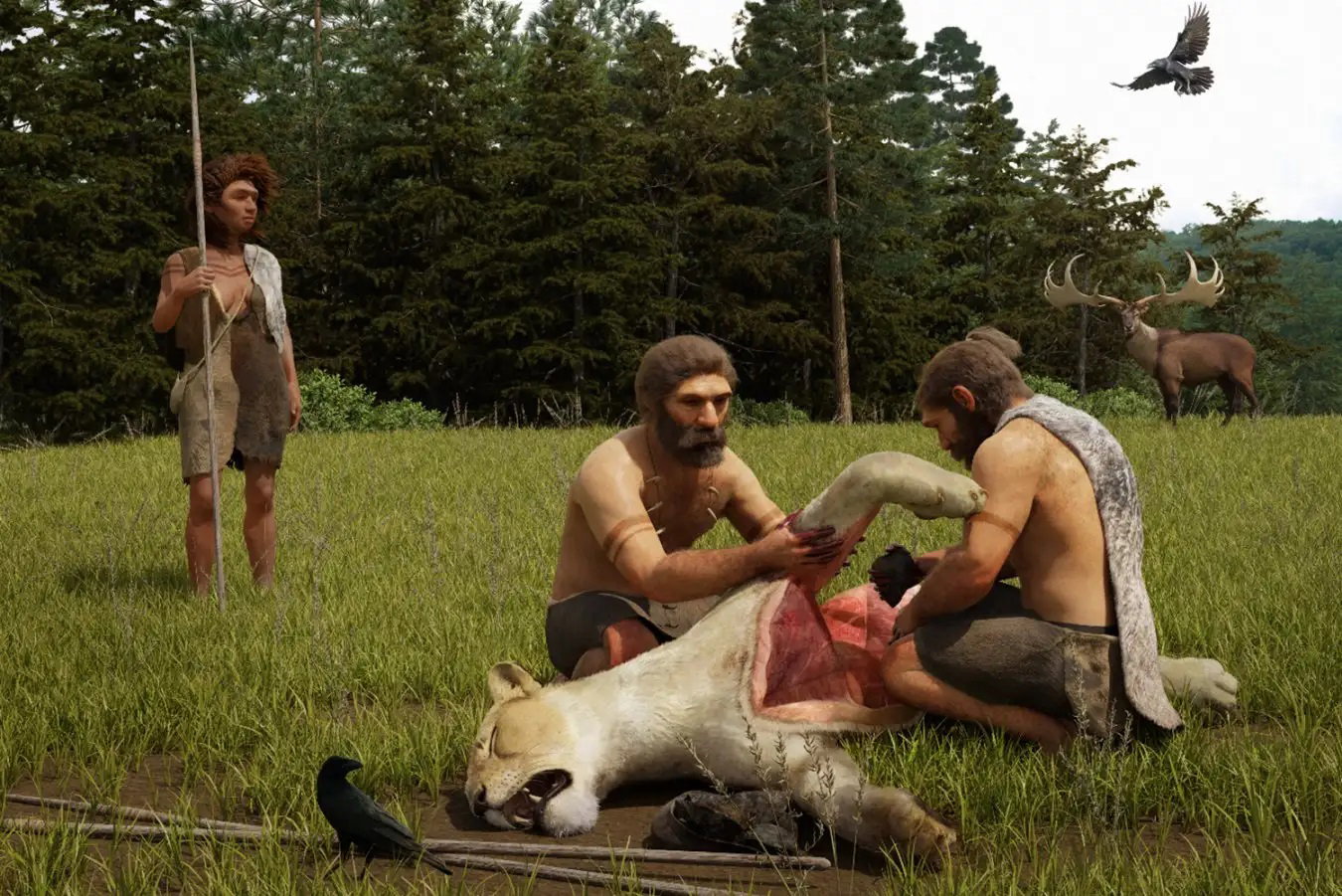 Odważny jak neandertalczyk: nasi wymarli kuzyni polowali na lwy jaskiniowe. I to z powodzeniem (ryc. Julio Lacerda/NLD)