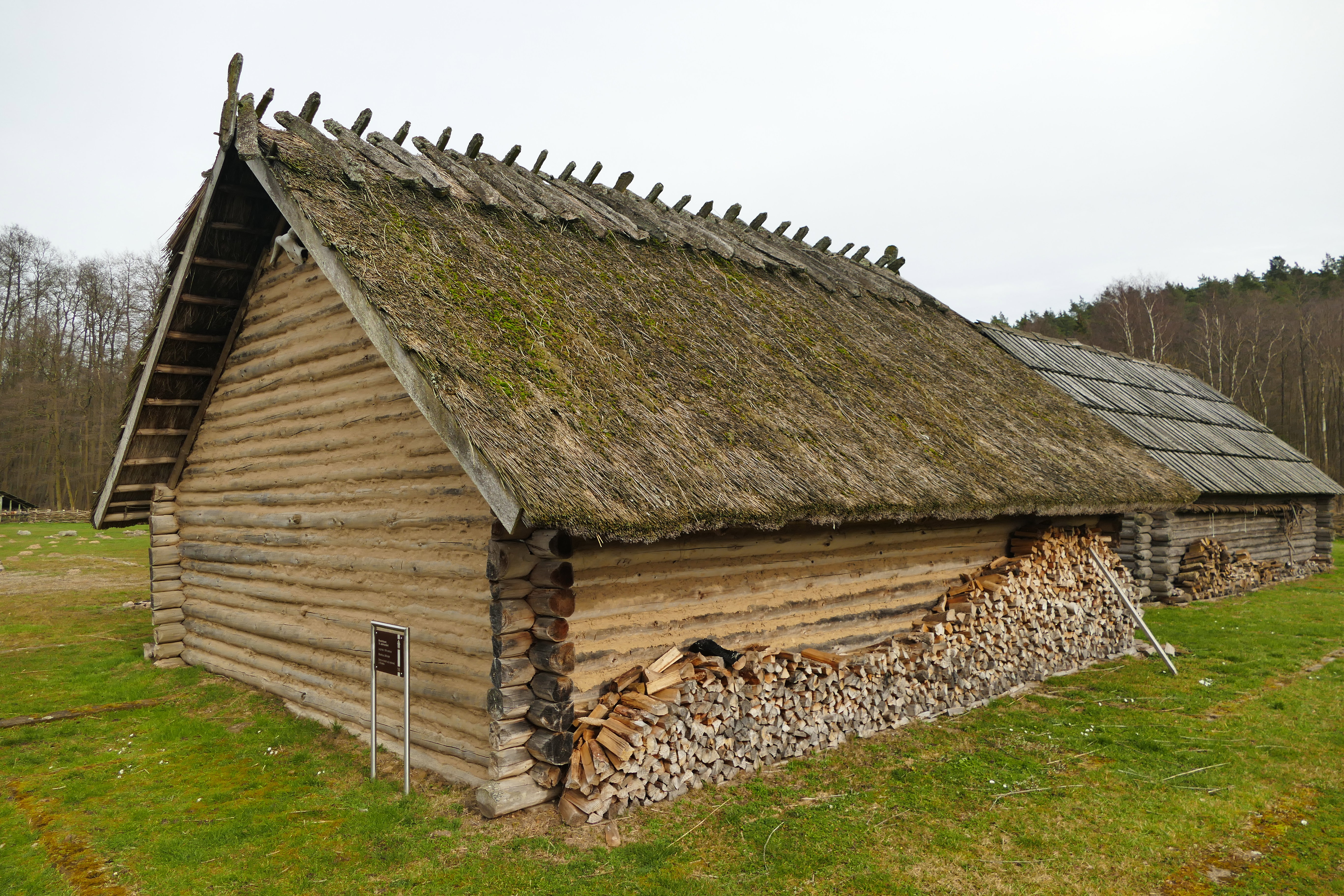 słowianie