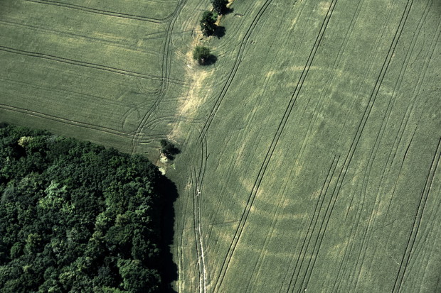 7 najlepszych zdjęć „polskich Stonehenge”. Olbrzymie konstrukcje sprzed 7 tys. lat z lotu ptaka GALERIA