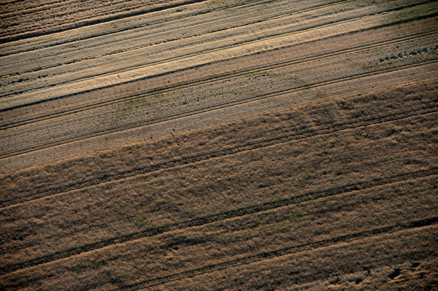 7 najlepszych zdjęć „polskich Stonehenge”. Olbrzymie konstrukcje sprzed 7 tys. lat z lotu ptaka GALERIA