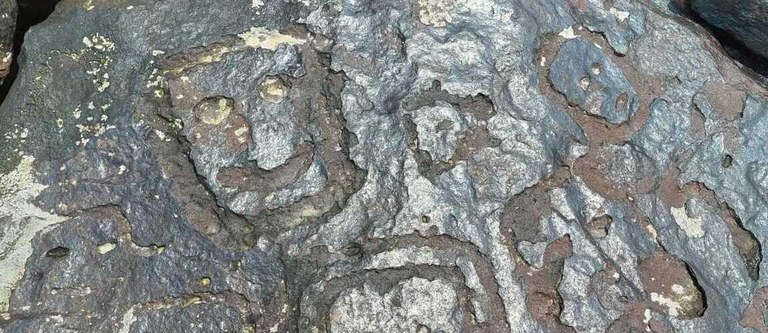 ryty skalne