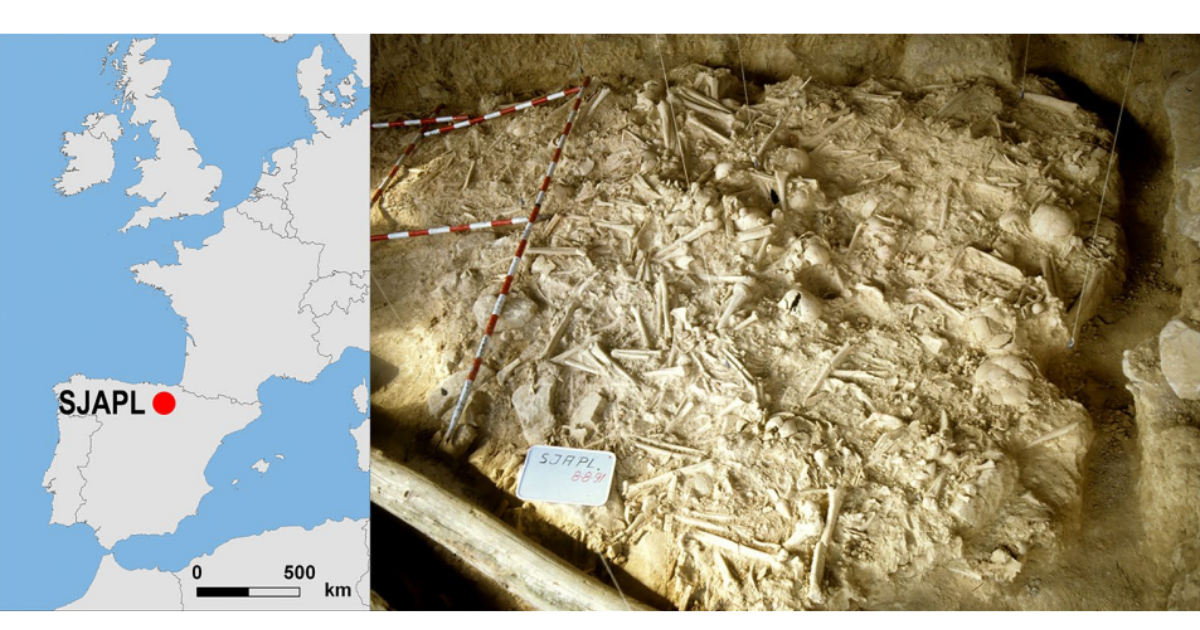 Walki na większą skalę odbywały się w Europie o 1000 lat wcześniej, niż sądzono. Dowody w masowym grobie
