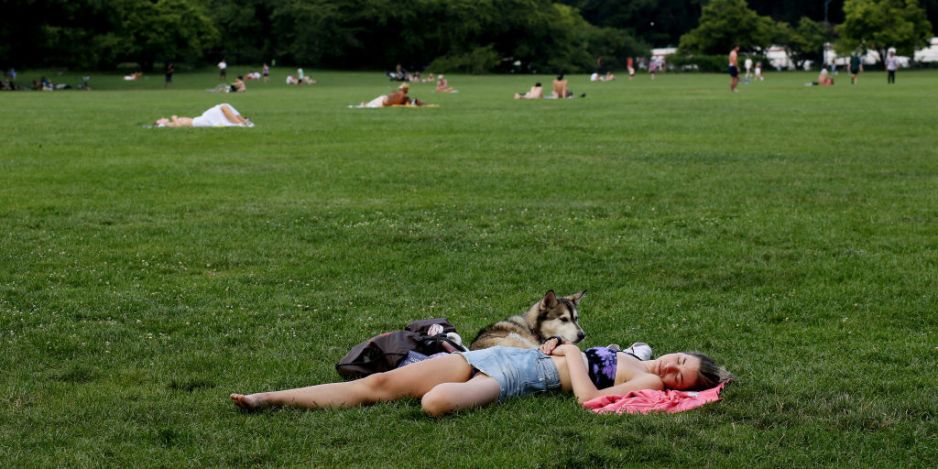 Dlaczego ciepło nas usypia? Badanie na muchach wyjaśnia, skąd się bierze ochota na drzemkę w upały (fot.John Smith/VIEWpress)