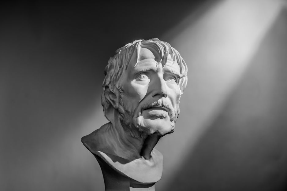 Seneka (fot. BobrinSKY / Shutterstock.com)