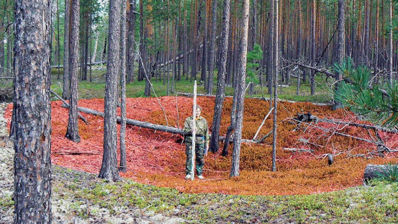 Najstarsza forteca na świecie