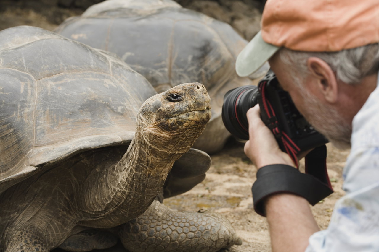Wyspy Galapagos: władze podejrzewają, że ludzie polują i zjadają żółwie