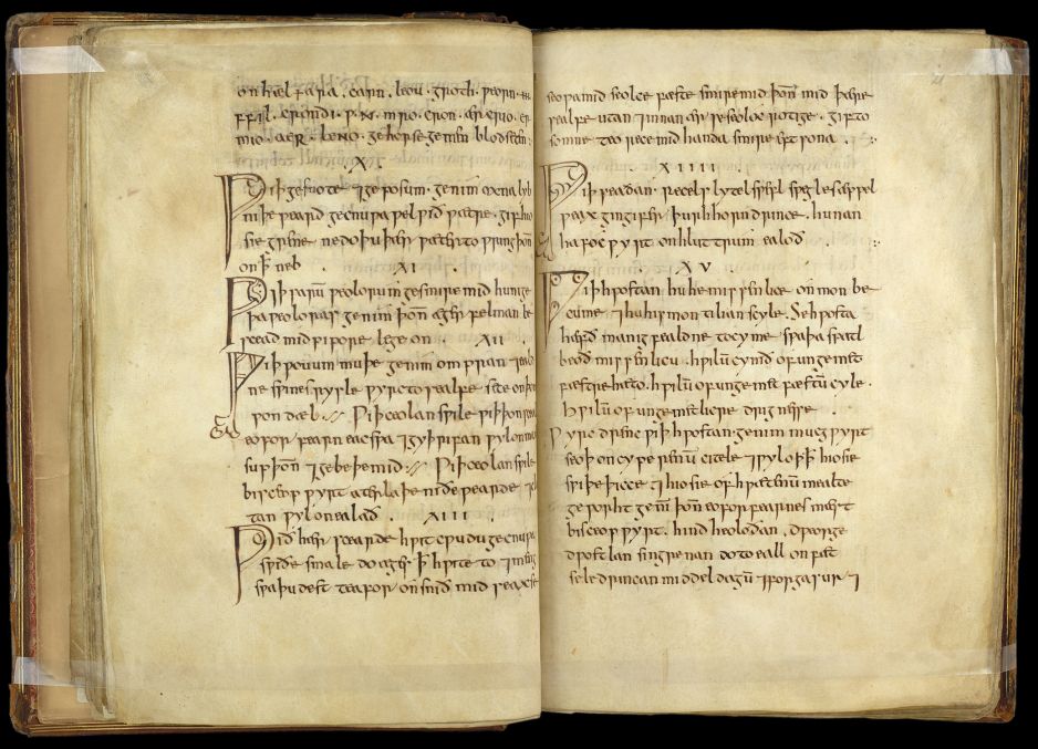 Cyfrową wersję Medicinale Anglicum można znaleźć na stronach British Library (fot. The British Library Board (Royal 12 D xvii))