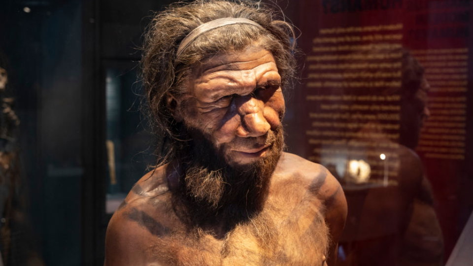 Skąd się biorą ranne ptaszki? To zasługa DNA neandertalczyków