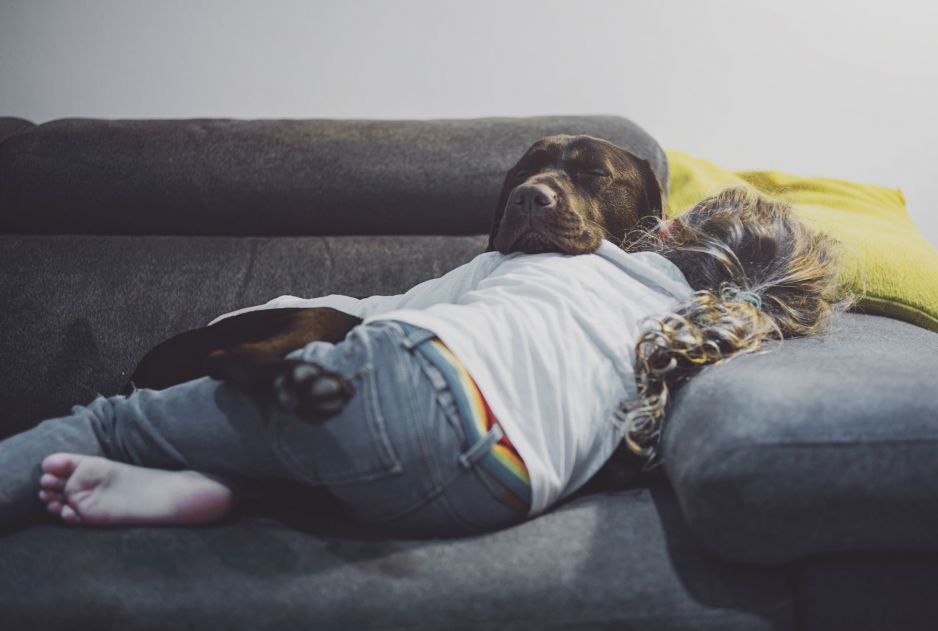 Psy są naprawdę bliskie ludziom. A pod względem wnętrza... jesteśmy kuzynami