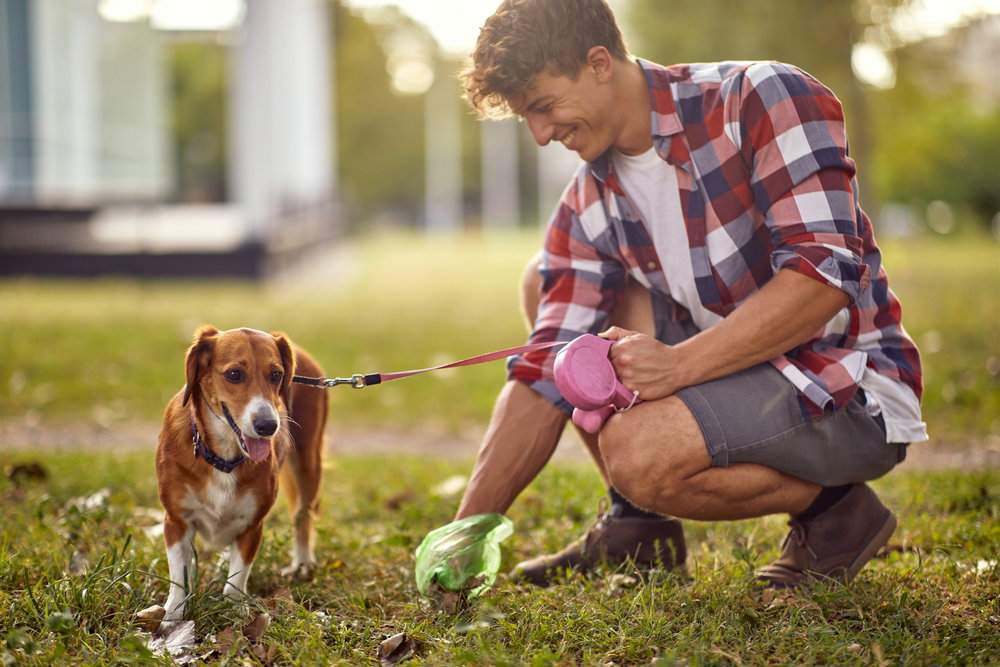 Sprzątajcie po swoich psach! Ich odchody są bardziej niebezpieczne niż sądzicie (fot. Shutterstock)