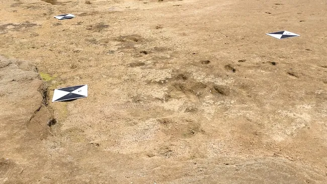 Odciski na marokańskiej plaży są jednymi z najstarszych i najlepiej zachowanych w całym regionie / fot. M. Sedrati