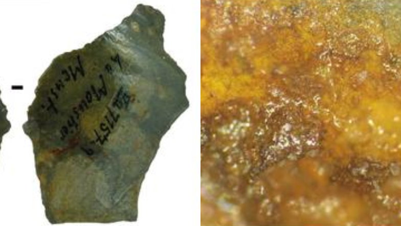 Polka odkryła, że neandertalczycy używali kleju