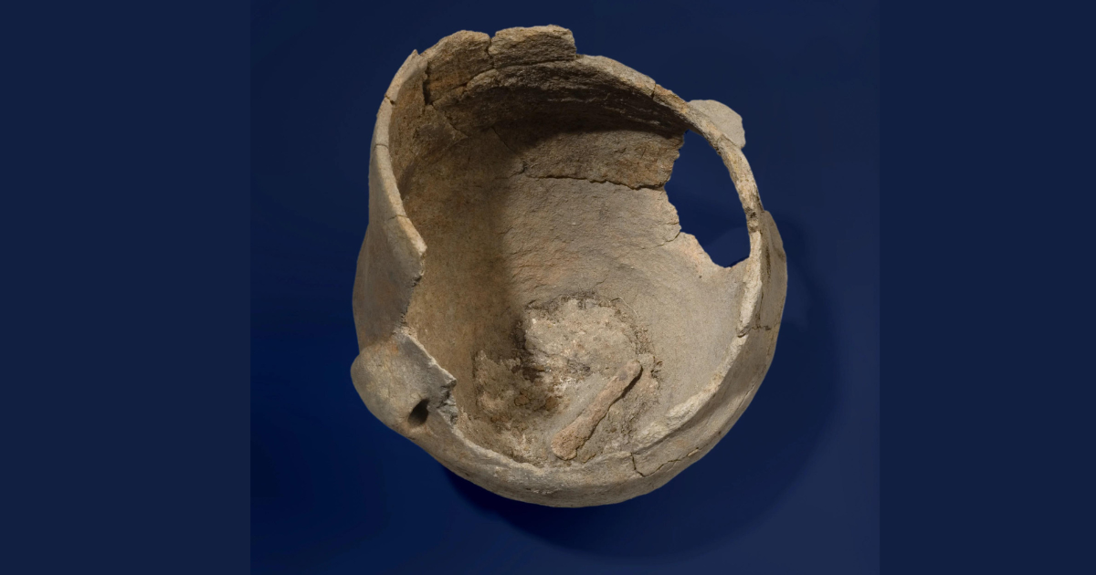 Przypalili owsiankę 5 tysięcy lat temu. Naukowcy odtworzyli jej skład