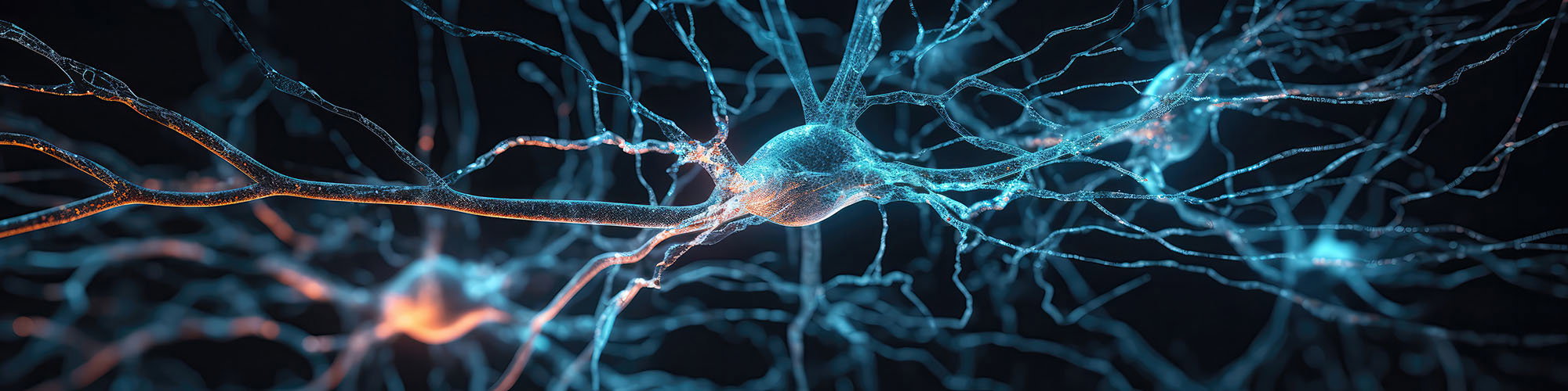 Neurony