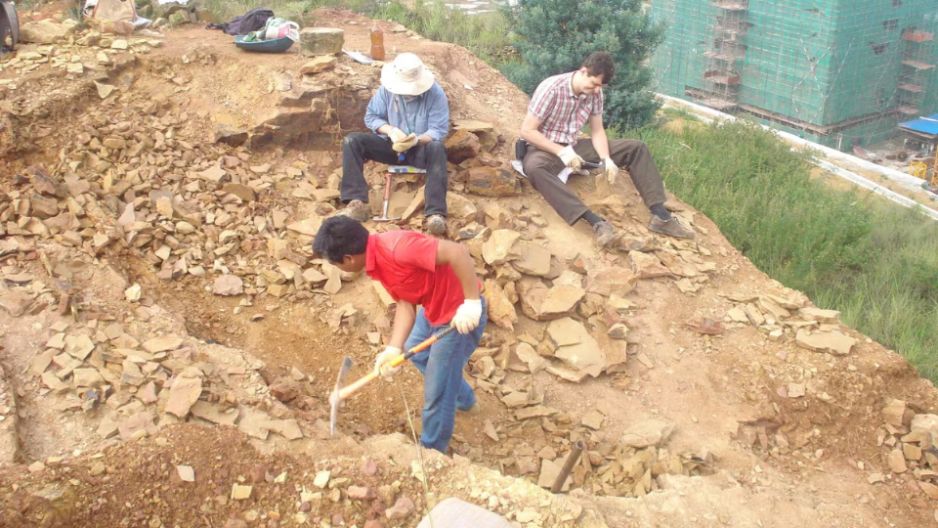 Skamieniałości prehistorycznych stworzeń morskich okazały się być czymś innym
