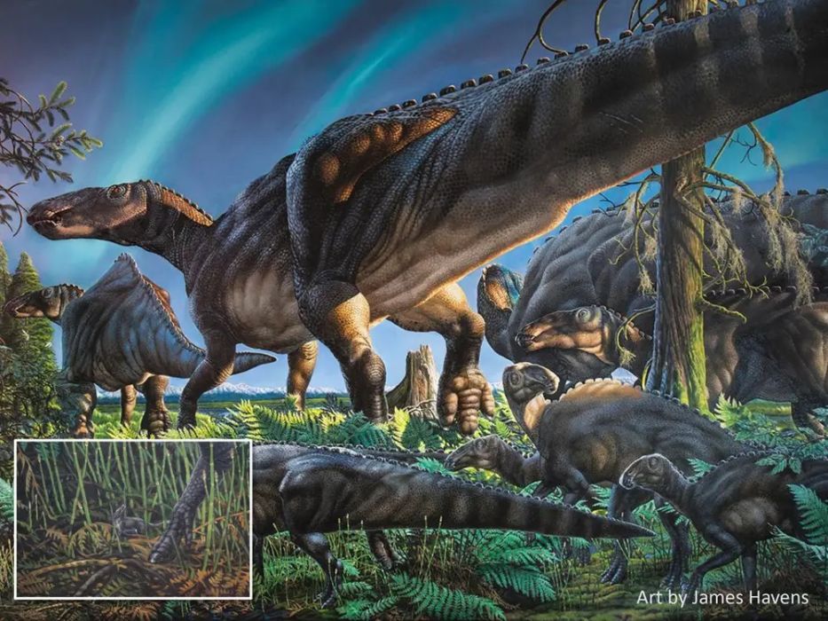 Stuart Malutki epoki dinozaurów: naukowcy znaleźli zęby myszy sprzed 70 mln lat. Były wielkości ziaren piasku (ryc. James Havens)