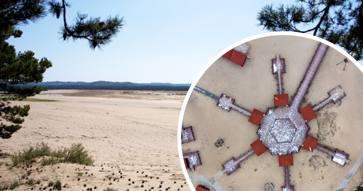 Polska Sahara wzbudza zachwyt w całej Europie. Kiedyś to miejsce wyglądało zupełnie inaczej