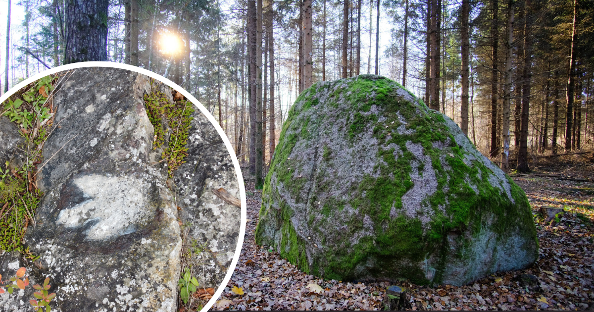 Diabelskie kamienie i „boże stópki”. Polska usiana jest zagadkowymi głazami